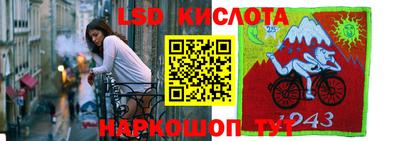 шишки Гулькевичи