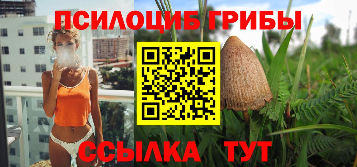 Псилоцибиновые грибы мухоморы  Вход с VPN  сколько стоит  Всеволожск 