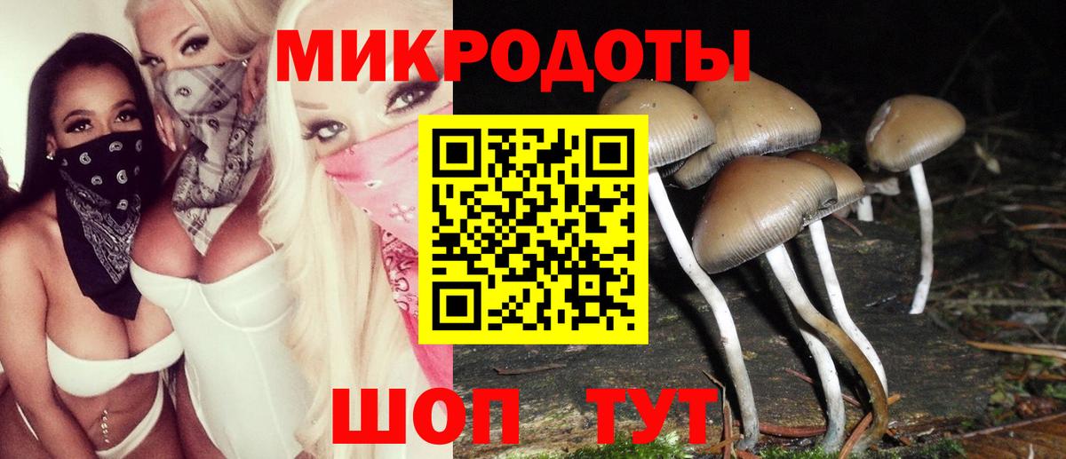 Галлюциногенные грибы мицелий Всеволожск