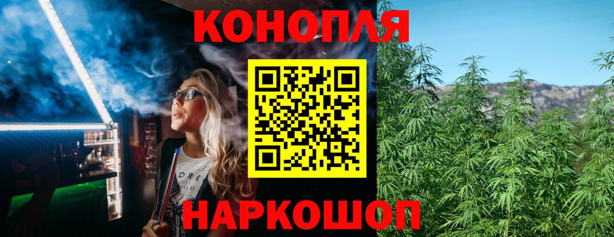 МАРИХУАНА семена  Каннабис индика  Всеволожск  Каннабис OG Kush  Бошки Шишки семена  Вход с VPN 